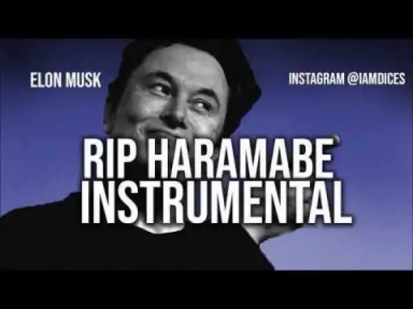 Instrumental: Elon Musk - Rip Harambe